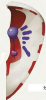PNG 161x352 80.5kb