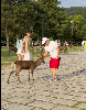 GIF 301x387 1375.4kb